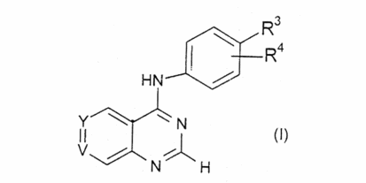 Reprodukce